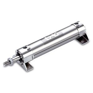 SMC CG5EA25SR250