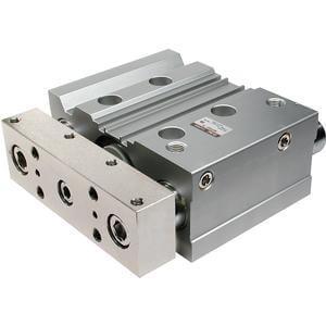 SMC MGPS50N25